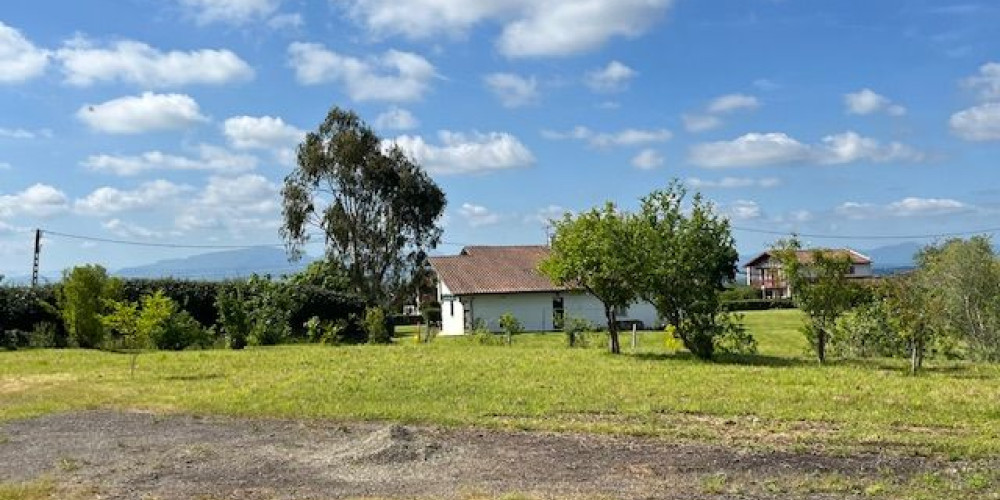 terrain à ST PIERRE D IRUBE (64990)